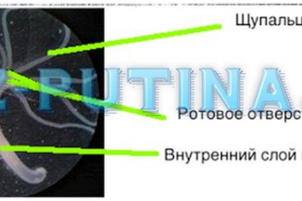 Кракен ссылка купить соли
