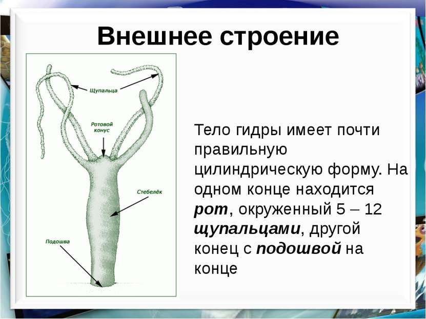 Кракен маркетплейс 2025